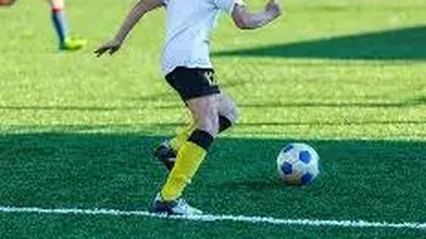 “课外实践，硕果累累超越激情”