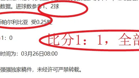 “拜仁客场挑战德甲125周年庆典赛事，强势获胜揽下三分”