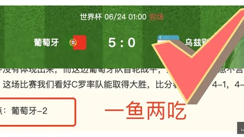 开云体育官网优惠 113558 4